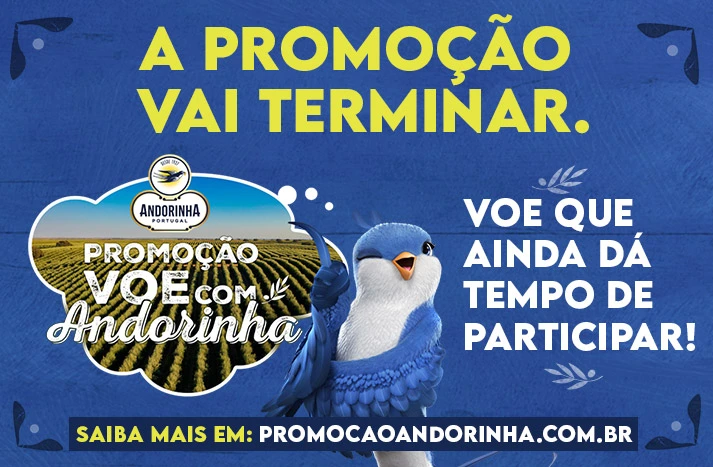 Promoção Voe com Andorinha 2024