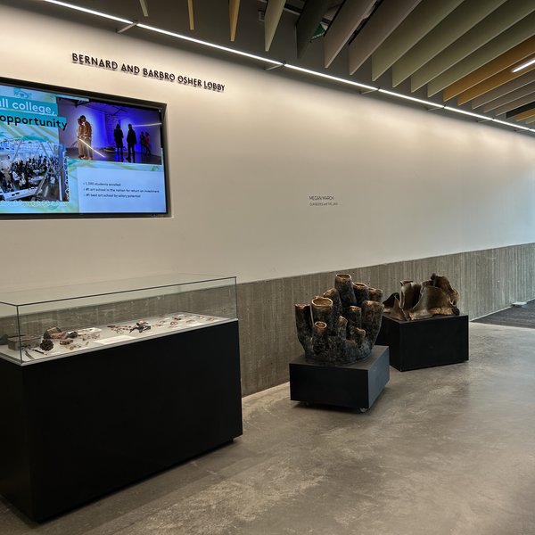 DG Lobby installation example 2