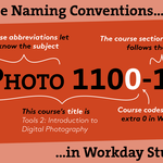 Course Section Titling@1.5x.png