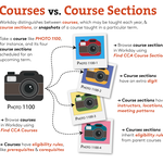 Courses_v_Course Sections@1.5x.png