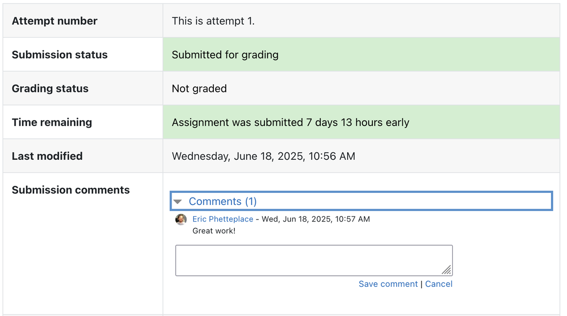 Submission status showing an ungraded submission which was submitted on time with a comment from an instructor
