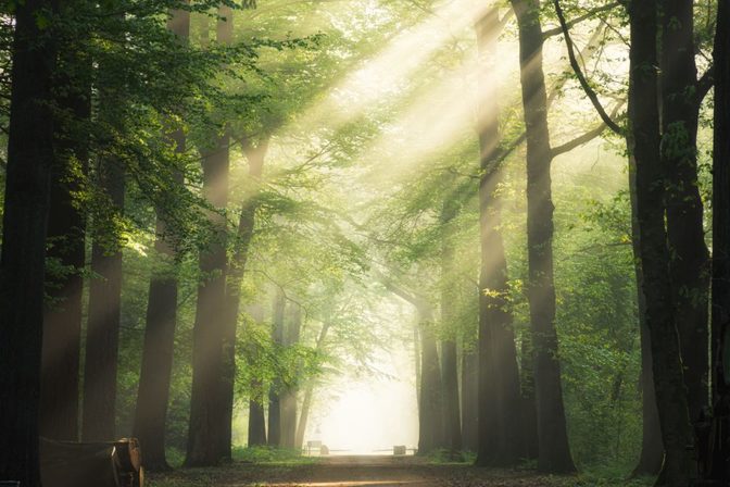 Como os quatro elementos da natureza podem ajudar no autoconhecimento