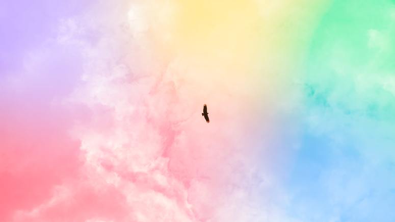 Ave voa em céu com as cores do arco-íris