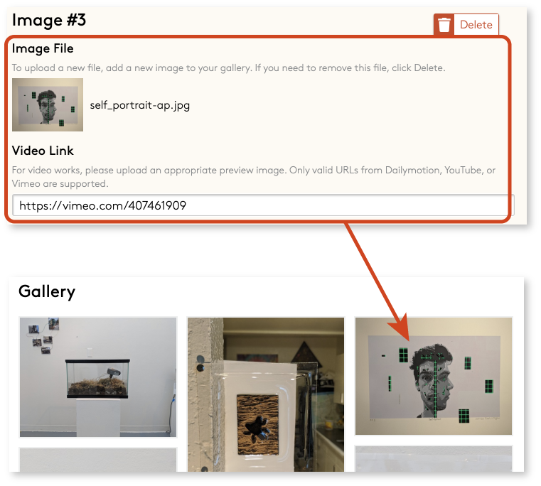 Video upload form field and published gallery showing the video's "preview" image