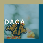 CDO thumbnail DACA