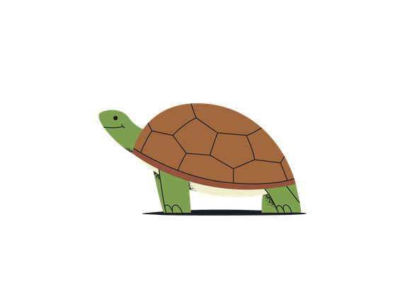 illustration of a turtle