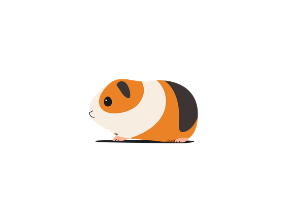 Illustration of a white, orange, and brown guinea pig