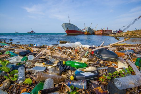 Efectos de la actividad humana en los ecosistemas