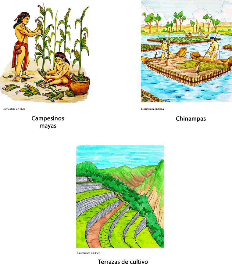 Comparaci N De Mayas Aztecas E Incas