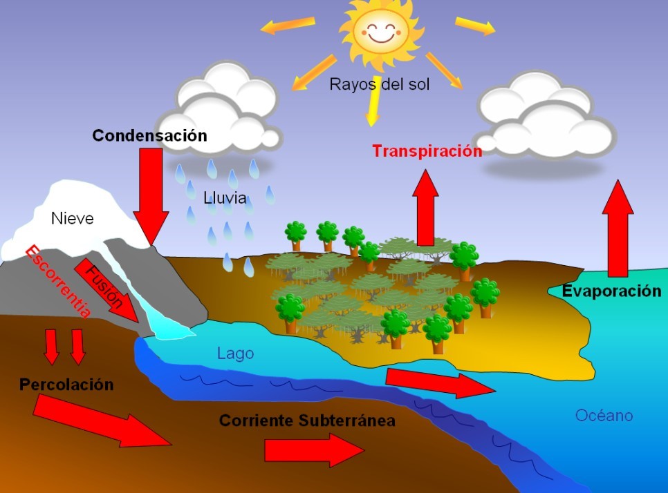 Ciclo Del Agua 5940