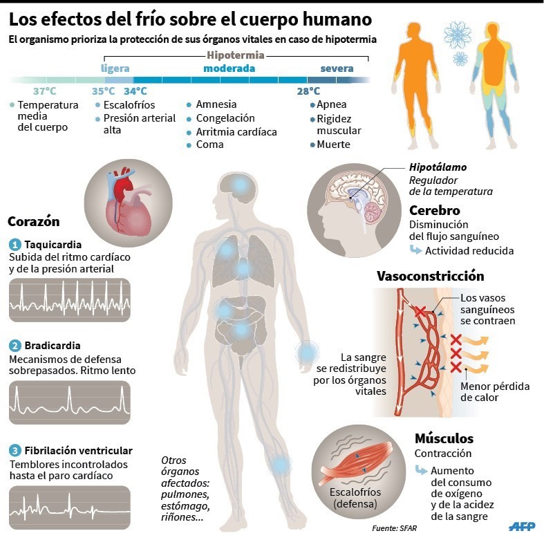 Qu Es El Calor Y Cu Les Son Sus Efectos