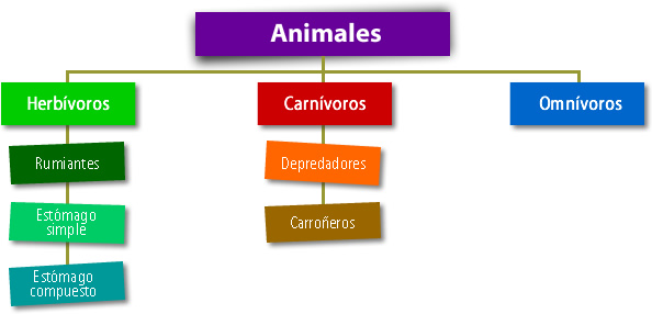 Animales tipo de alimentación