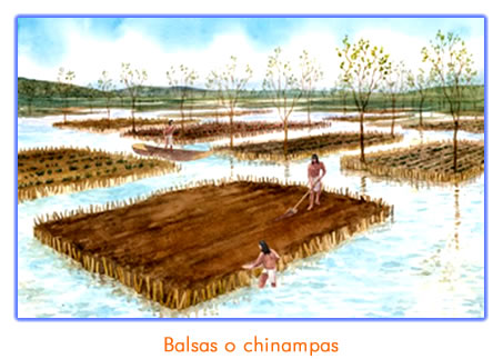 aztecas_chinampas