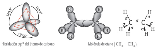 carbono_propiedades_10.jpg (536×168)