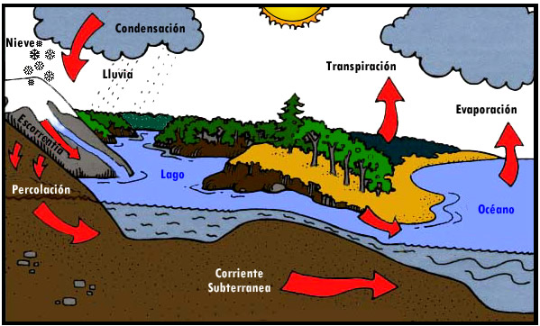 ciclo agua