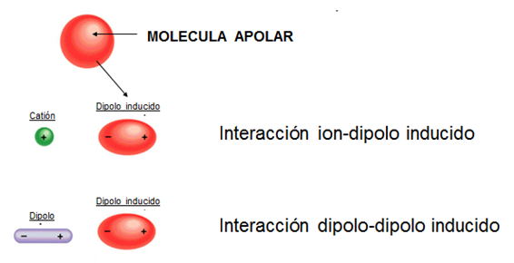 fuerzas_intermoleculares_4.jpg (566×290)