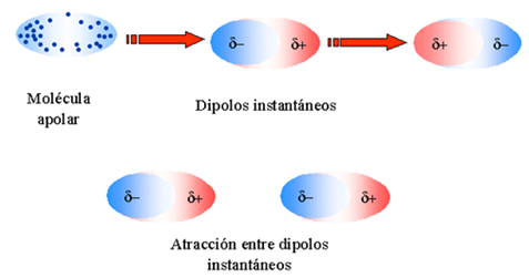 fuerzas_intermoleculares_5.jpg (477×251)