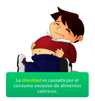 obesidad.jpg (330×350)