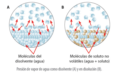 propiedades_coligativas_8.jpg (393×250)