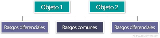 Estructura de comparación-contraste