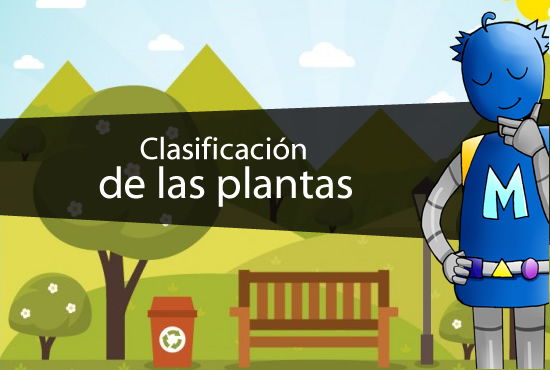 Clasificacion De Las Plantas