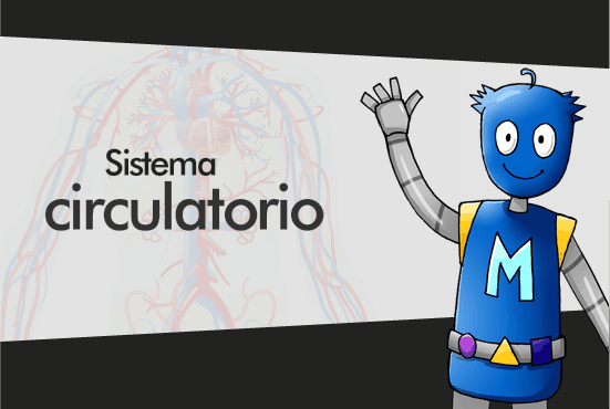 Sistema Circulatorio