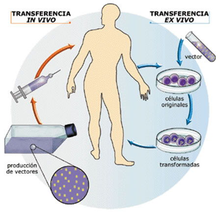 Biotecnologia_3.jpg (448×439)