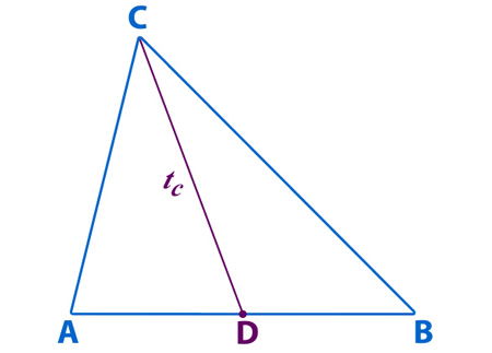 Simetral_y_transversal_de_gravedad