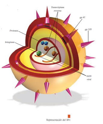 VIH_representacion.jpg (342×412)
