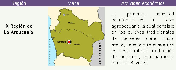 Principales actividades económicas por regiones