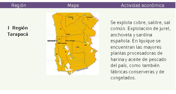 Principales actividades económicas por regiones