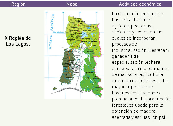 Principales actividades económicas por regiones