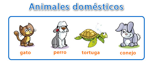 Animales domésticos y salvajes