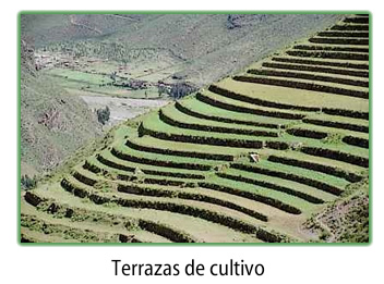 terrazas de cultivo