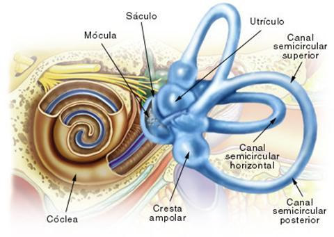 audicion_3.jpg (480×341)