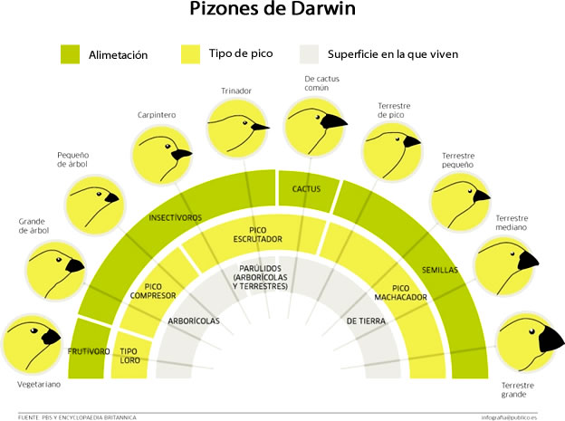 biodiversidad_origen_9.jpg (624×465)