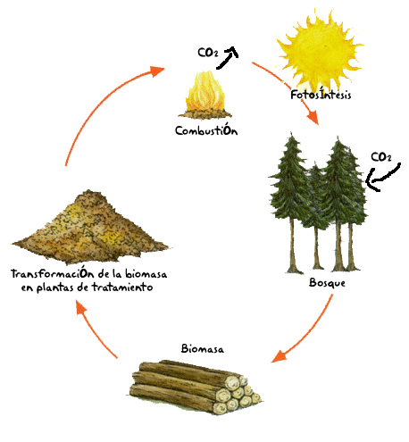 Energía de la biomasa