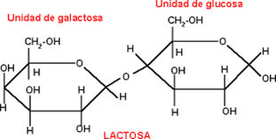 carbohidratos_3.jpg (311×157)