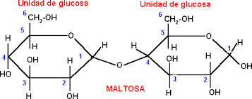 carbohidratos_4.jpg (357×141)