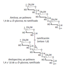 carbohidratos_6.jpg (257×261)