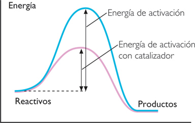 cinetica_quimica_7.jpg (384×243)