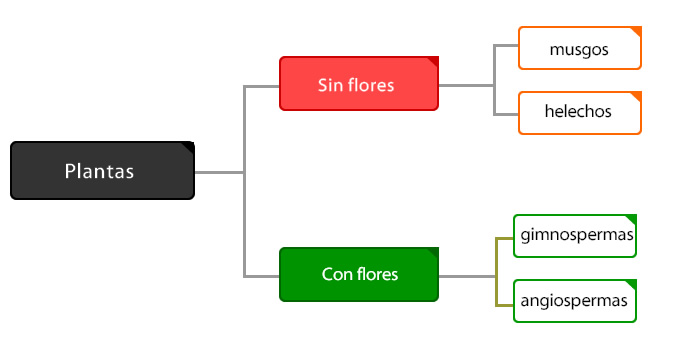 Clasificacion De Las Plantas