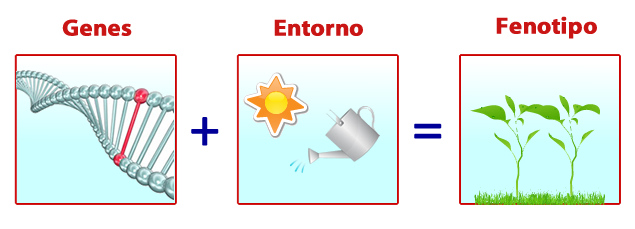 enzimas_proteinas_1.jpg (635×229)