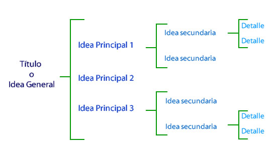 Organización de la información: Elaborar esquemas