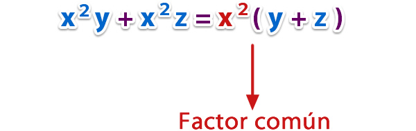 factorizacion_2.jpg (600×190)