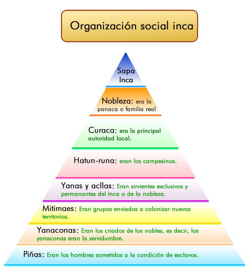 Organización social