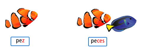 Plurales de palabras terminadas en z