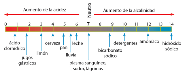 ph_3.jpg (642×258)