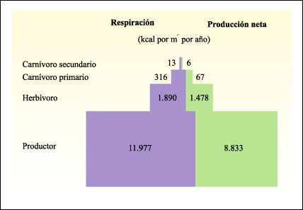 Pirámides de energía