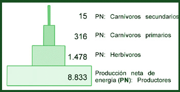 piramide_energia_3.jpg (352×180)